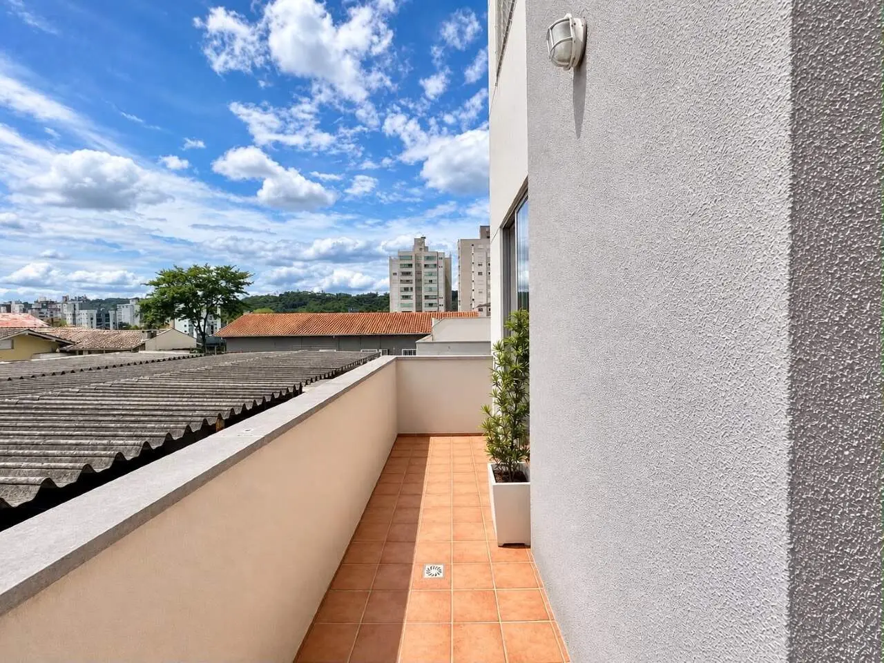 Sala · luz da tarde