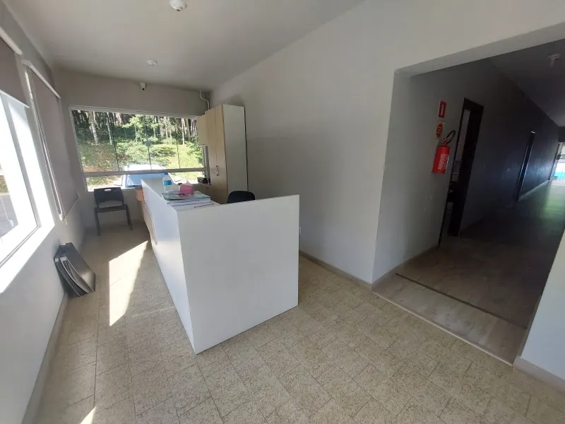 Sala · luz da tarde