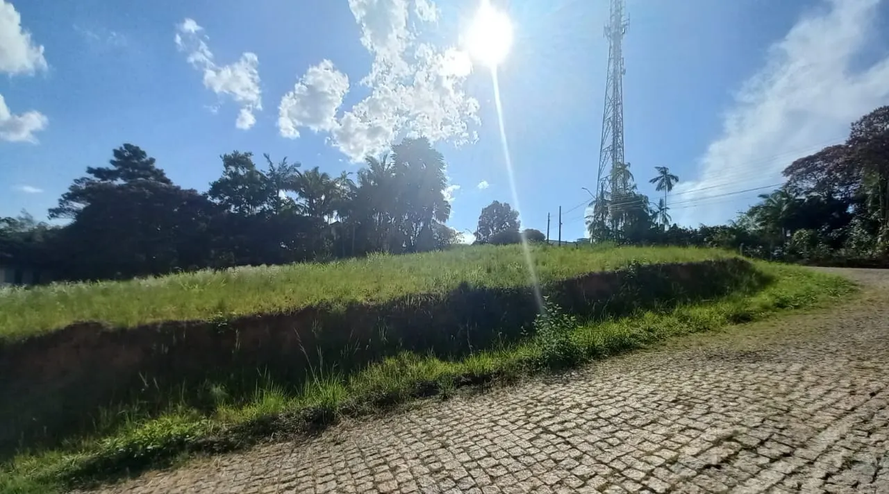 Sala · luz da tarde