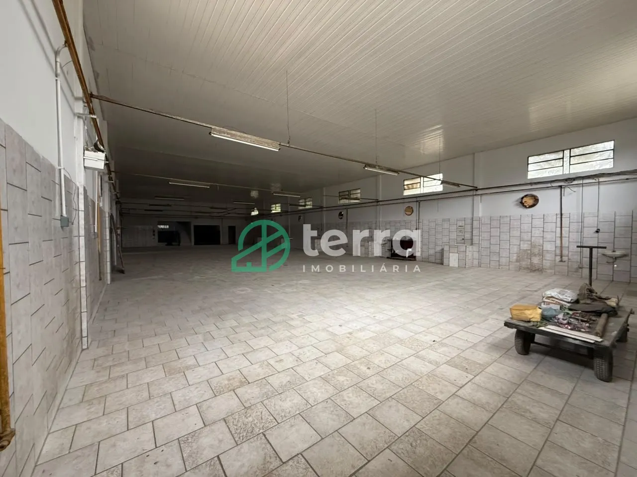 Sala · luz da tarde